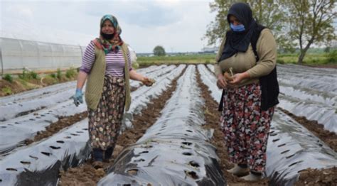 ­K­a­d­ı­n­ ­Ç­i­f­t­ç­i­l­e­r­d­e­ ­Ç­i­l­e­k­l­i­ ­B­a­h­ç­e­l­e­r­­ ­p­r­o­j­e­s­i­ ­b­a­ş­l­a­d­ı­